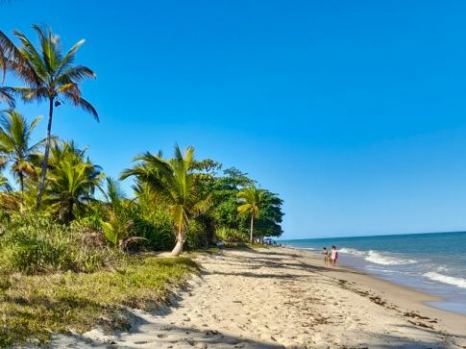 Playa en el Nordeste de Brasil