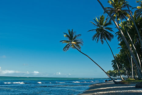 Playa en Pernambuco